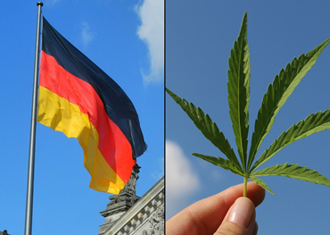 allemagne's le prochain gouvernement vise à légaliser le cannabis récréatif
