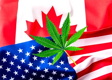 Nouvelle année 2022 , nouvelles réglementations mises à jour sur l'industrie du cannabis aux États-Unis et au Canada
