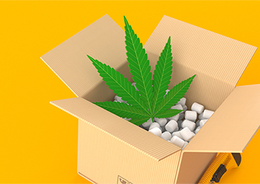 L'industrie de l'emballage du cannabis devrait atteindre une valeur marchande d'environ 20,41 milliards de dollars d'ici 2025