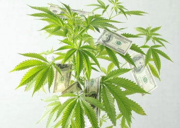 La Division d'État de la réglementation du cannabis publie de nouvelles règles d'emballage