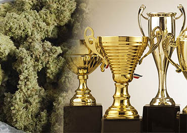 California State Fair accueillera le tout premier concours de cannabis de la marijuana420packaging