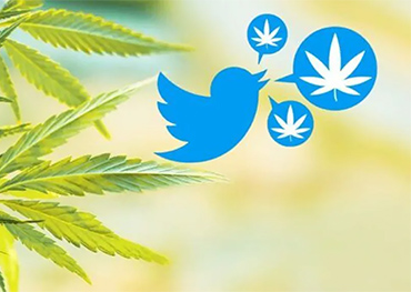 Twitter autorise la publicité sur le cannabis