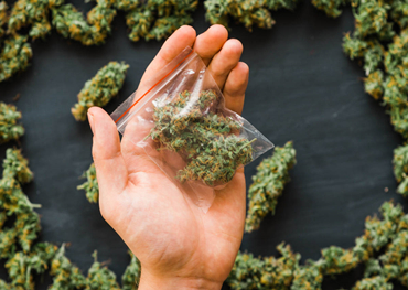 Rapport sur le marché mondial des emballages de cannabis 2021
