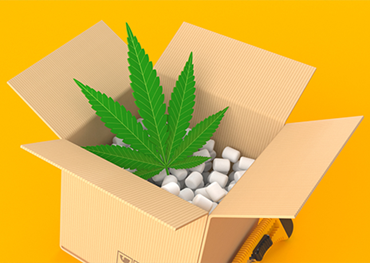 Des règles plus strictes mises en place pour les emballages de produits comestibles à base de marijuana