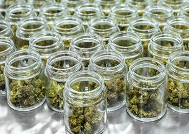Recherche révolutionnaire au Congrès européen de psychiatrie 2025 : le cannabidiol (CBD) peut soulager les symptômes de l'autisme chez les adolescents et améliorer les compétences sociales sans effets secondaires