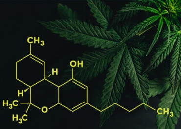 La Chambre des représentants de Pennsylvanie adopte un projet de loi visant à légaliser la marijuana à des fins récréatives