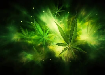From 'poison' to 'medicine', scientists elucidate cannabinoid's mode of action in inflammation