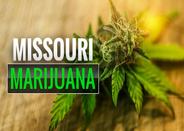 Les régulateurs du cannabis du Missouri détaillent les plans d'octroi de licences aux microentreprises