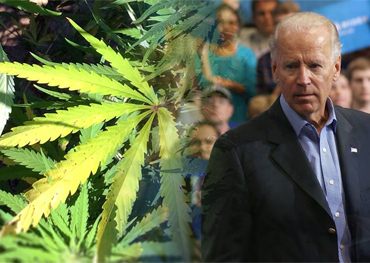 après l'élection Joe Biden promeut probablement la légalisation du cannabis au niveau fédéral