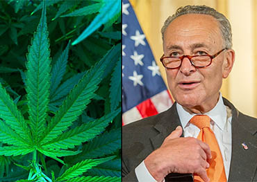 la légalisation fédérale du cannabis approche !u.s.Les démocrates du Sénat déposent un projet de loi pour légaliser l'herbe