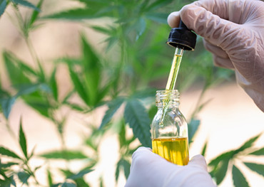la géorgie recueille des demandes pour produire «low-THC» huile de marijuana