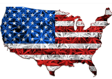 Comment le report de la marijuana par Biden pourrait affecter l'industrie américaine
