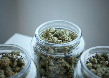 Les régulateurs de la marijuana de New York approuvent les règles sur l'emballage et la publicité pour les ventes à l'usage des adultes
