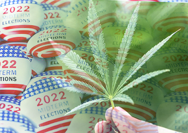 L'influence des mi-mandats américains sur la légalisation de la marijuana Les États-Unis sur le scrutin dans cinq États
