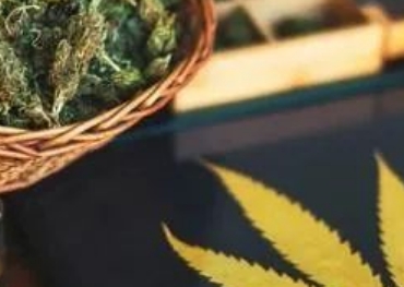 Vente d'une nouvelle boisson d'une valeur de 310 000 $ par semaine ! Cette marque a conquis le marché américain grâce à TikTok, en utilisant des ingrédients à base de cannabis.