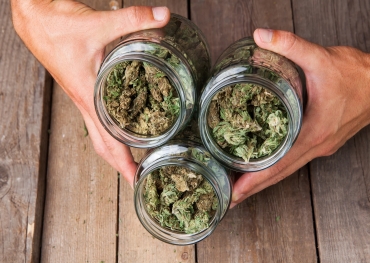 Opportunités pour les détaillants de cannabis d'augmenter leur retour sur investissement en investissant dans l'emballage